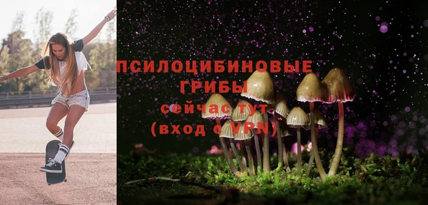 MESCALINE Алзамай