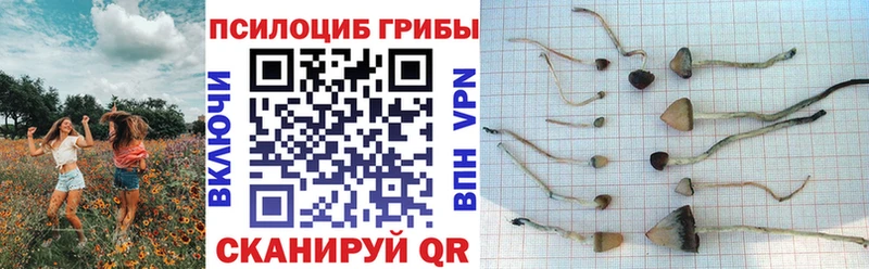 Псилоцибиновые грибы Psilocybine cubensis  цена наркотик  Долинск 